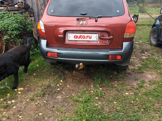 2001 Hyundai Santa Fe I, пурпурный, 412000 рублей, вид 2