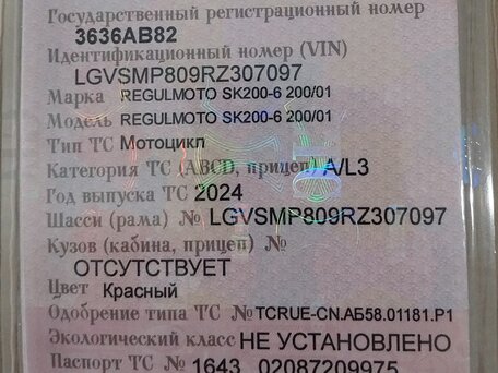 2024 Regulmoto SK200, красный, 135000 рублей, вид 5