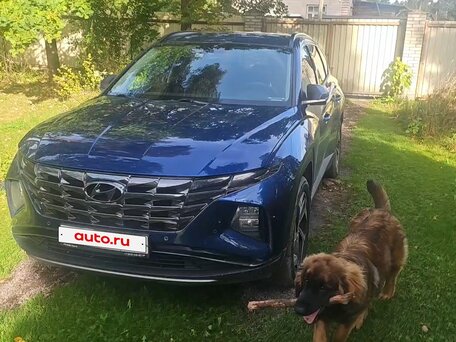 2024 Hyundai Tucson IV, синий, 3500000 рублей, вид 1
