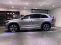 2026 Geely Monjaro I, серый - вид 8