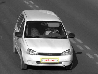 2009 Lada (ВАЗ) Kalina I, белый, 220000 рублей, вид 1