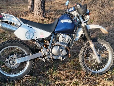 2004 Suzuki Djebel 250, синий, 300000 рублей, вид 2