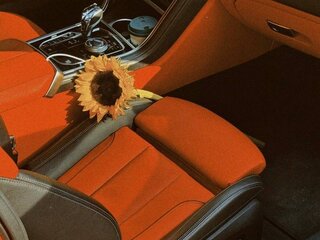 2019 BMW 8 серии M850i xDrive II (G14/G15/G16), чёрный, 7270000 рублей, вид 4