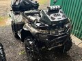 2024 CFMoto CFORCE 520 L, зелёный