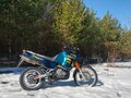 1998 Suzuki DR 800 Big, зелёный, 310000 рублей