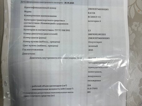 2025 Racer Panther, зелёный, 115000 рублей, вид 4