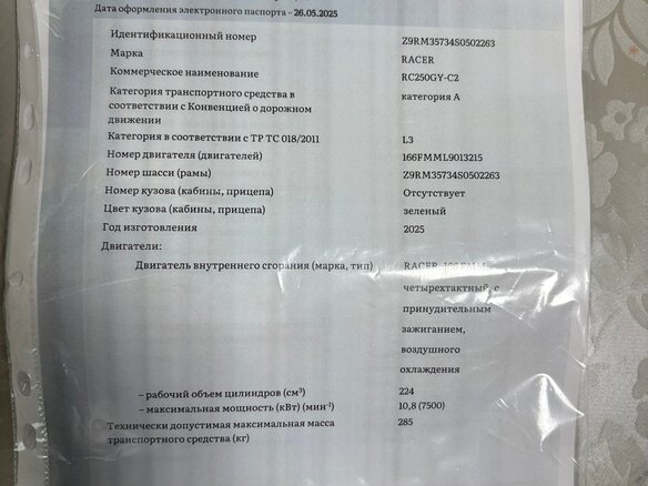 2025 Racer Panther, зелёный, 115000 рублей - вид 3