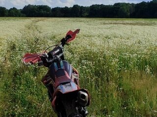 FX moto X7 (CBS 300)