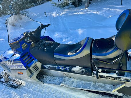 2007 Arctic Cat Bearcat, синий, 900000 рублей, вид 5