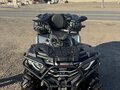 2025 Loncin XWolf 300 Max, серый, 360000 рублей - вид 1