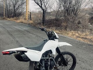 2024 FX moto Runner, белый, 70000 рублей, вид 4