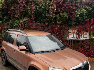2012 Skoda Yeti I, коричневый, 900000 рублей, вид 2