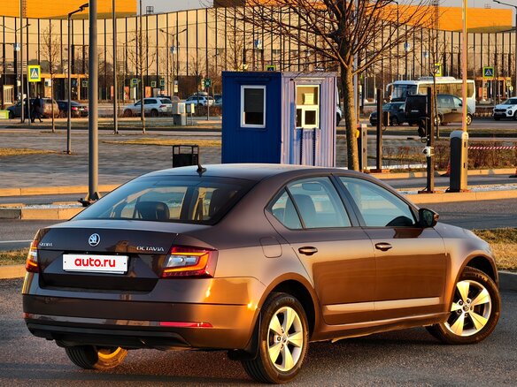 2017 Skoda Octavia III (A7) Рестайлинг, коричневый, 2459954 рублей - вид 17