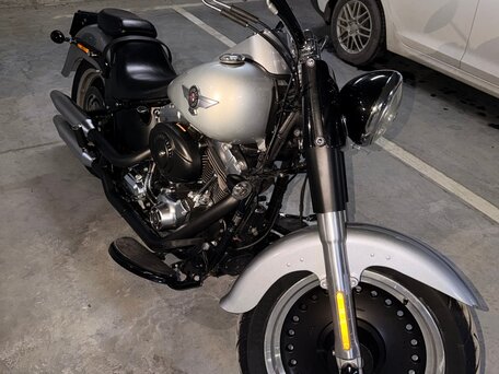 2012 Harley-Davidson Fat Boy, серый, 1500000 рублей, вид 4