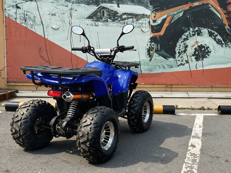 2026 Tiger Extra 175, синий, 237900 рублей, вид 3