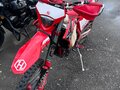 2024 Hasky F7 300, красный, 400000 рублей