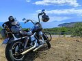 1995 Harley-Davidson Dyna Low Rider, чёрный, 650000 рублей - вид 1
