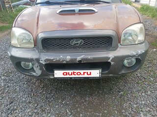 2001 Hyundai Santa Fe I, коричневый, 295000 рублей, вид 2