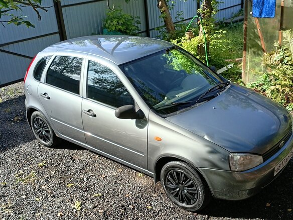 2008 Lada (ВАЗ) Kalina I, серый, 200000 рублей - вид 10