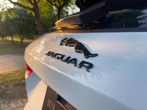 2024 Jaguar F-Pace I Рестайлинг, белый, 4000000 рублей - вид 28