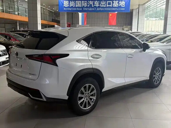 2021 Lexus NX 200 I Рестайлинг, белый, 2810000 рублей - вид 11