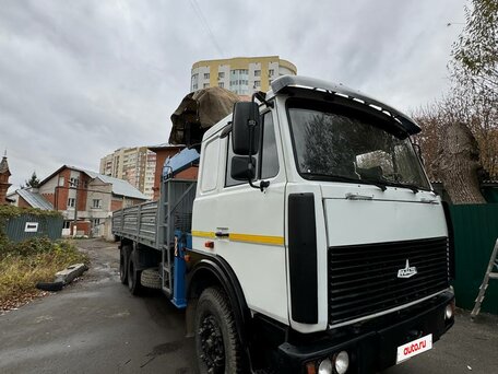 2004 МАЗ 6303, белый, 3900000 рублей, вид 2