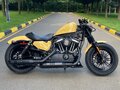 2018 Harley-Davidson Forty-Eight, бежевый, 1500000 рублей - вид 1