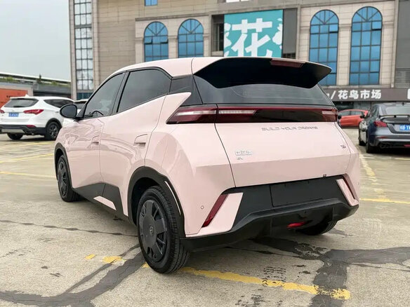 2024 BYD Seagull 30.08 kWh I, розовый - вид 6