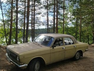 1987 ГАЗ 3102 «Волга», оранжевый, 87000 рублей, вид 1