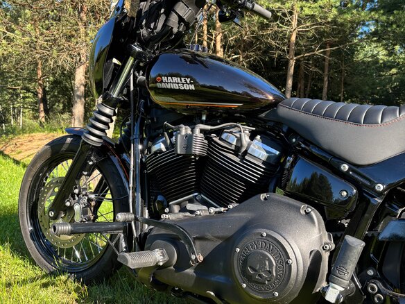 2019 Harley-Davidson Softail Custom, коричневый, 971000 рублей - вид 6