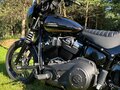 2019 Harley-Davidson Softail Custom, коричневый, 971000 рублей - вид 6