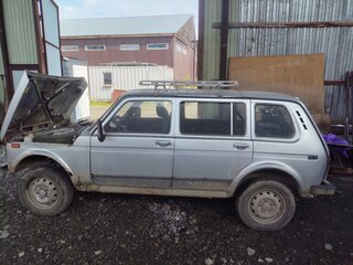 2004 Lada (ВАЗ) 2131 (4x4) I, серебристый, 232000 рублей, вид 4