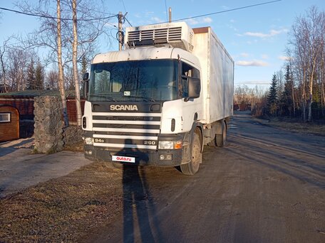 2002 Scania P-series, белый, 980000 рублей, вид 1