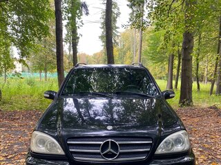 2002 Mercedes-Benz M-Класс 270 I (W163) Рестайлинг, чёрный, 720000 рублей, вид 1