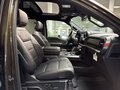 2025 Ford F-150 Raptor XIV Рестайлинг, зелёный, 15530000 рублей - вид 11