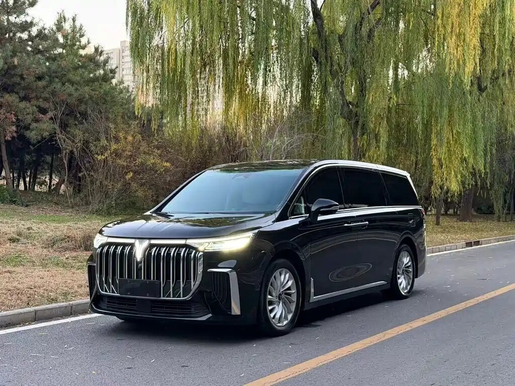 Открыть фотографии: Voyah Dream I