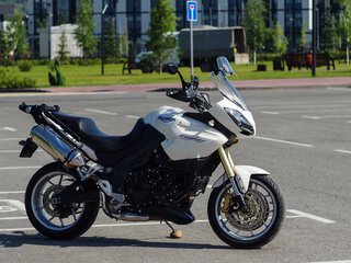 2007 Triumph Tiger 1050, белый, 615000 рублей, вид 4