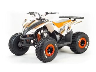 2026 Motoland Coyote 125, синий, 103700 рублей, вид 1