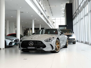 2026 Mercedes-Benz AMG GT 63 S E Performance II, серый, 28900000 рублей, вид 1