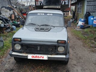 2004 Lada (ВАЗ) 2131 (4x4) Бронто-213102 I, серый, 200000 рублей, вид 1