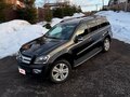 2006 Mercedes-Benz GL-Класс 450 I (X164), коричневый