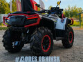 2026 AODES (Odes) Pathcross 1000 Mud Pro, серый, 1527000 рублей - вид 3