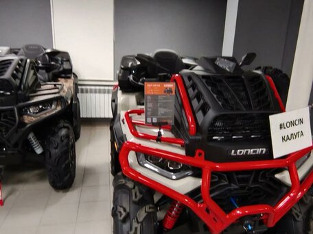 2026 Loncin XWolf 1000 Mud, бежевый, 1469000 рублей, вид 4
