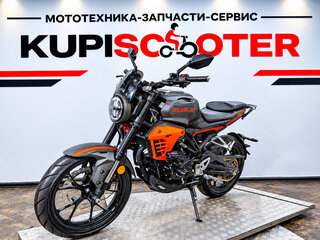 2026 Regulmoto T-Leopard 300, красный, 237000 рублей, вид 1