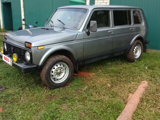 2007 Lada (ВАЗ) 2131 (4x4) I, серый, 235000 рублей, вид 3