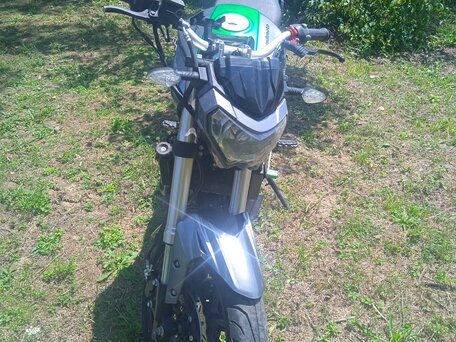 2020 Regulmoto T-Leopard 300, зелёный, 140000 рублей, вид 3