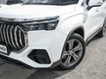 2026 Geely Okavango I Рестайлинг, белый - вид 7