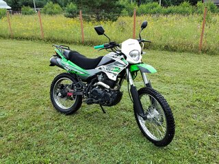 2014 Stels 250 Enduro, зелёный, 87000 рублей, вид 4