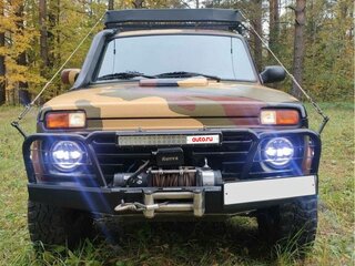 2017 Lada (ВАЗ) 2121 (4x4) I Рестайлинг, зелёный, 600000 рублей, вид 1
