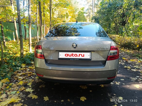 2019 Skoda Octavia III (A7) Рестайлинг, бежевый, 1760000 рублей - вид 4